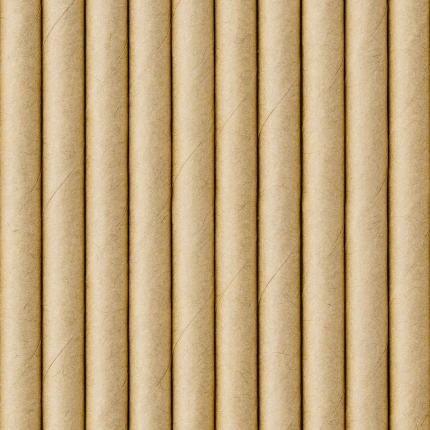 Natural Kraft Paper Straws (10 pcs / 19.5 cm)