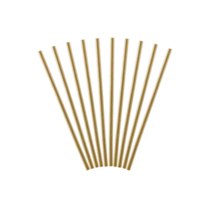 Natural Kraft Paper Straws (10 pcs / 19.5 cm)