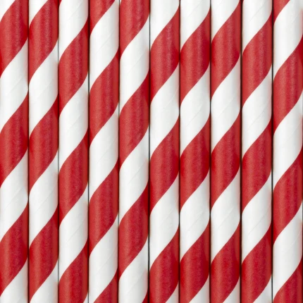 Red & White Paper Straws (10 pcs / 19.5 cm)