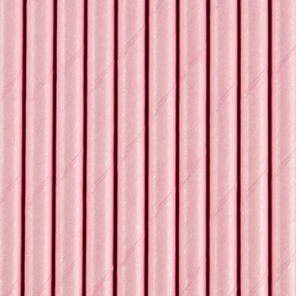 Pink Paper Straws (10 pcs / 19.5 cm)