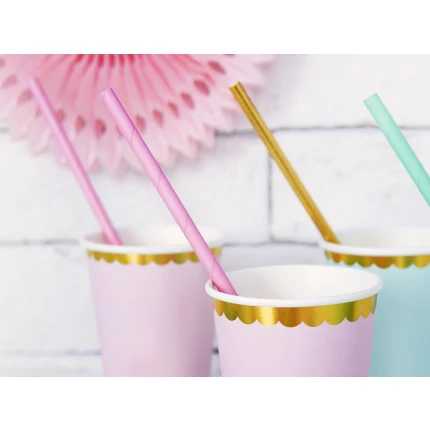Pink Paper Straws (10 pcs / 19.5 cm)