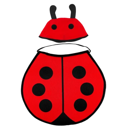 Kids Ladybird Costume Set