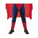 Superhero Costume for Men - Image 3