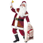 Professional Santa Claus Costume