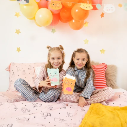 Cat Popcorn Boxes