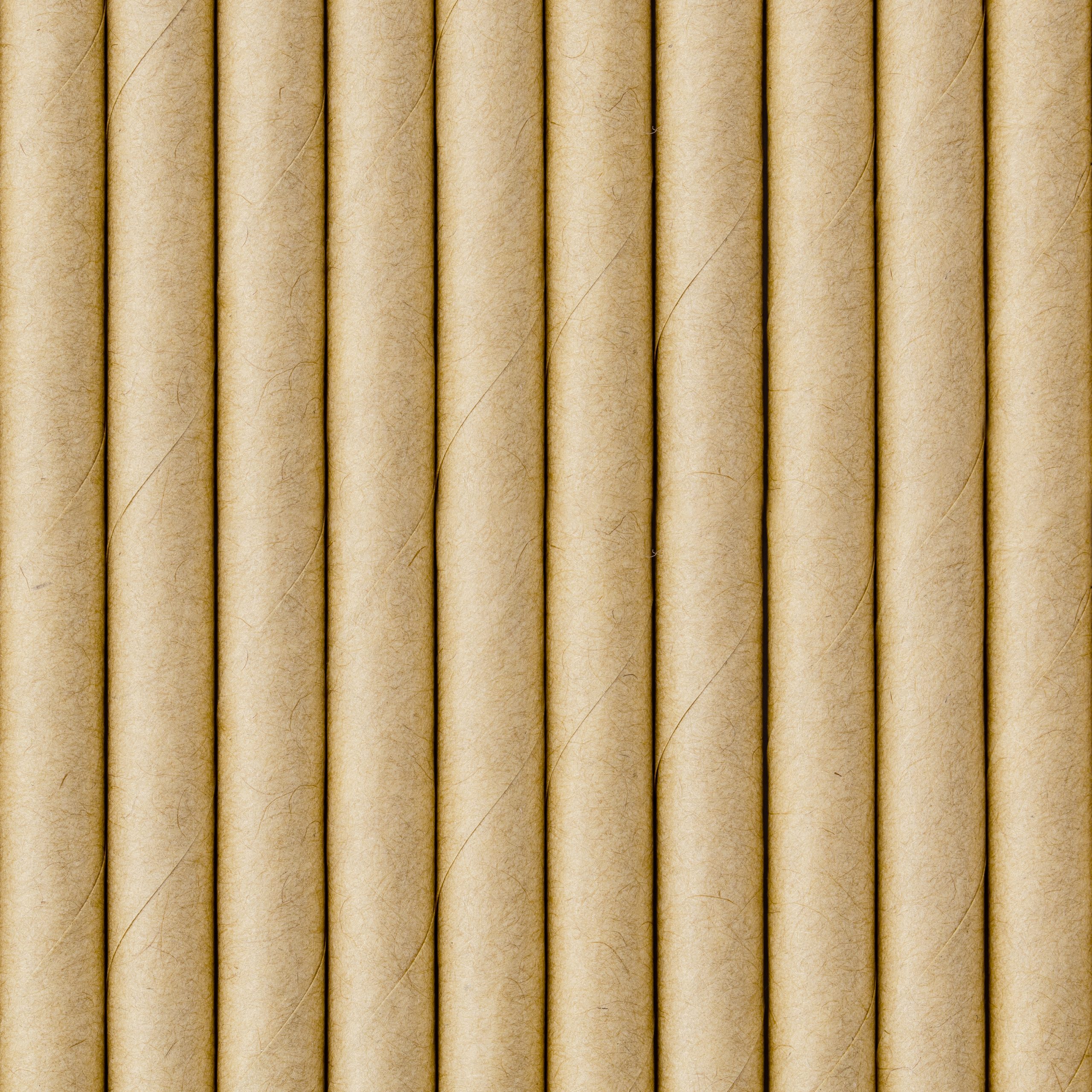 Natūralios spalvos popieriniai šiaudeliai (10 vnt./19,5 cm) Natūralios spalvos popieriniai šiaudeliai (10 vnt./19,5 cm)
